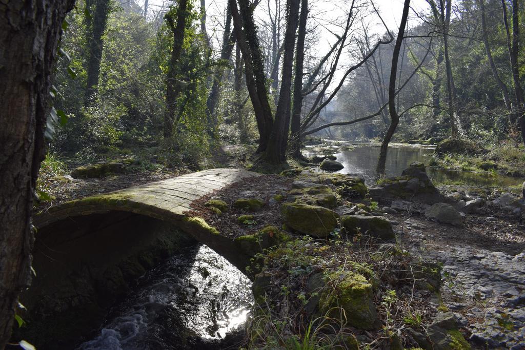 Ca La Tambona Country house Sant Feliu De Pallerols